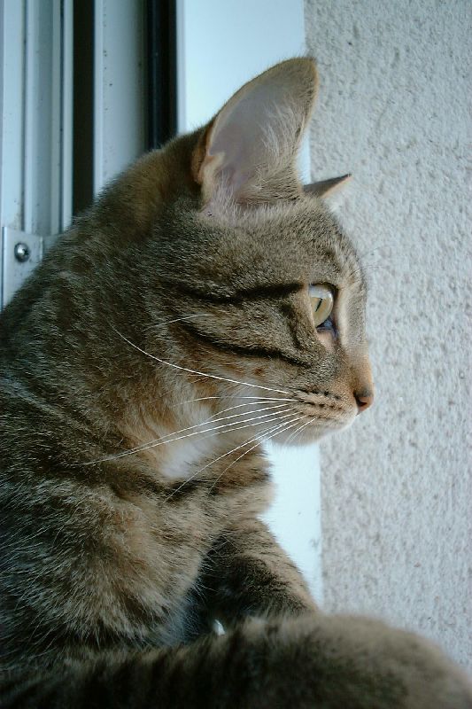 Misou prend la pose