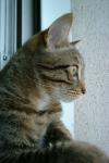 Manou & Misou