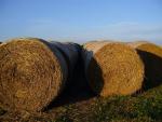 P1000701