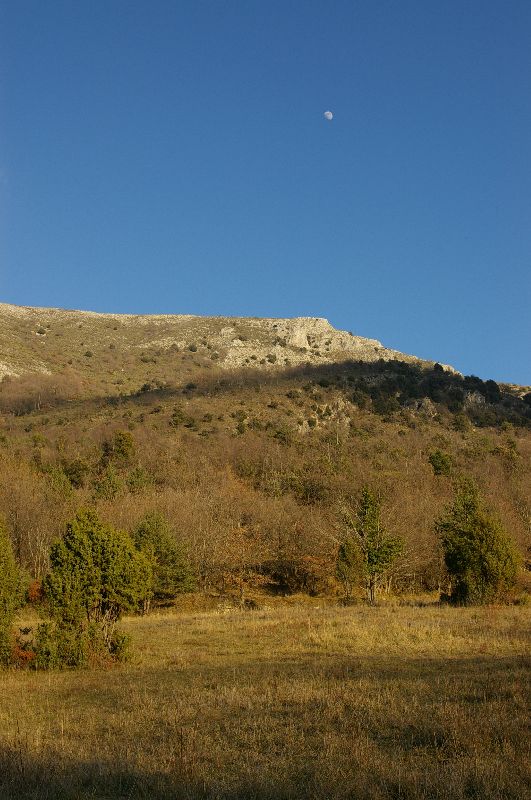 IMGP0157