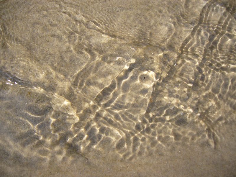 P1010207